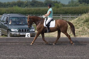 ISIS Dressage Challenge 2008